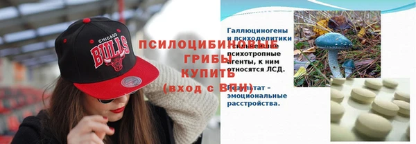 индика Горнозаводск