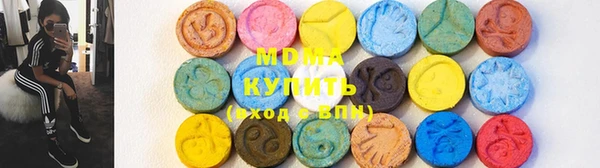 индика Горнозаводск