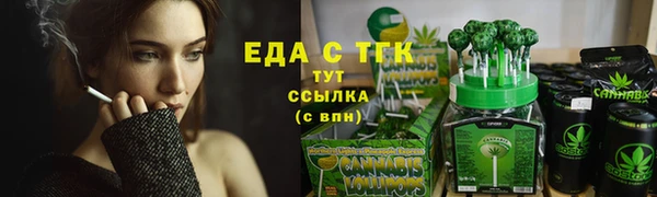 индика Горнозаводск
