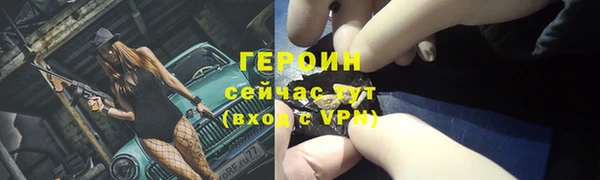 индика Горнозаводск