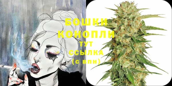 индика Горнозаводск