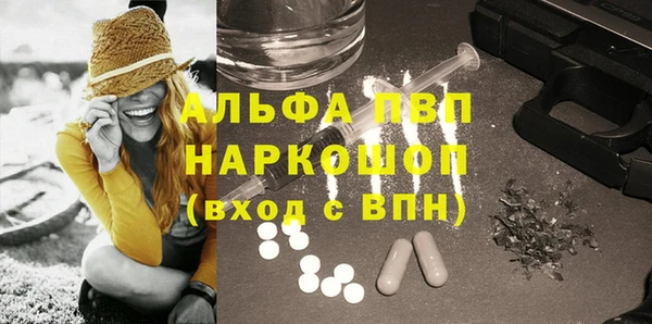 индика Горнозаводск