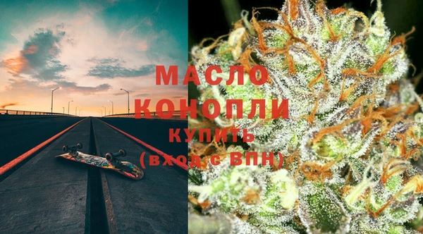 индика Горнозаводск