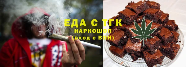 индика Горнозаводск