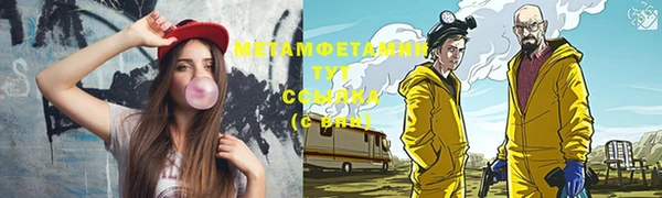 индика Горнозаводск