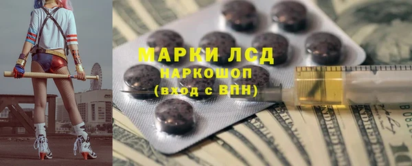 индика Горнозаводск